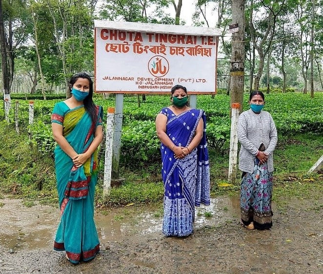 The Demand for Safe Tea in 2020