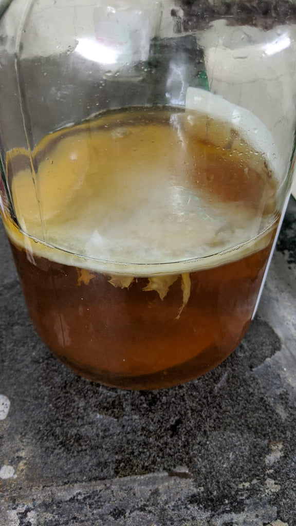 New Kombucha Product: The Hangover Cure