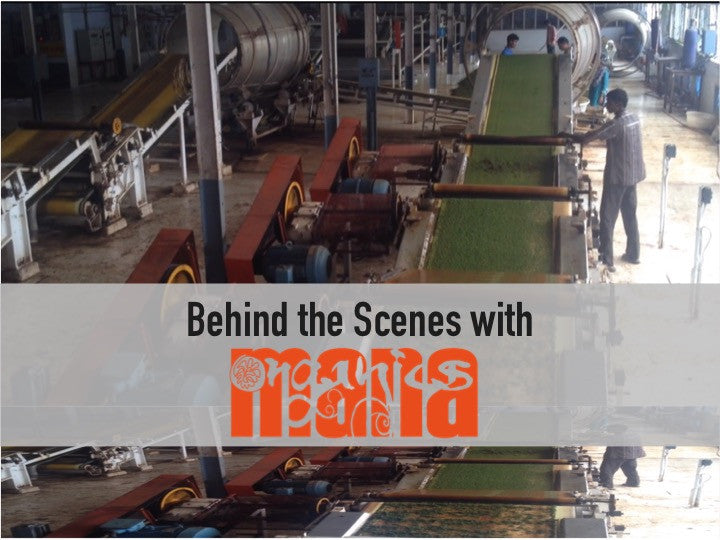 Black Tea Manufacturing at Chota Tingrai Tea Estate