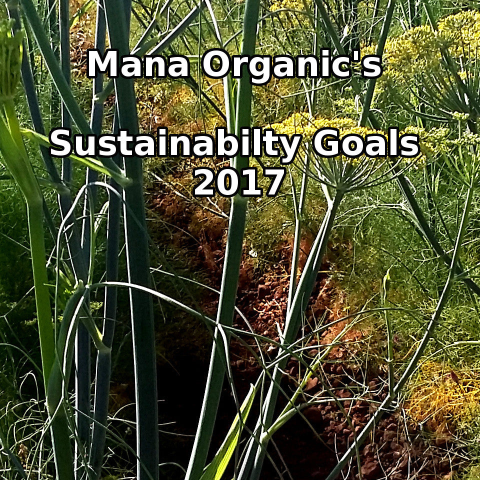 Mana’s Five Sustainability Goals for 2017